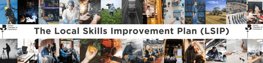 Local Skills Improvement Plan for Sussex – putting businesses at the heart of the skills system Local Skills Improvement Plan for Sussex – putting businesses at the heart of the skills system